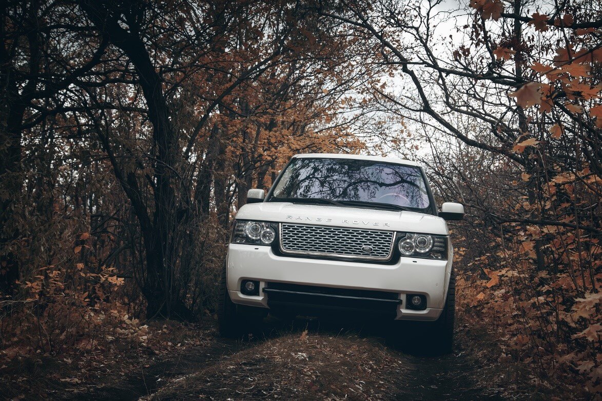 A Land Rover going down a forest road